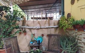 Cool Garden&Suite
