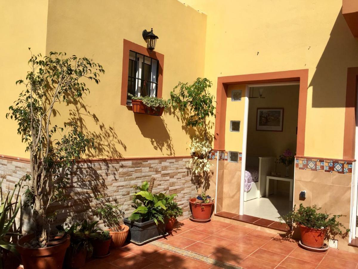 Cool Garden&Suite Mairena del Aljarafe Exterior foto